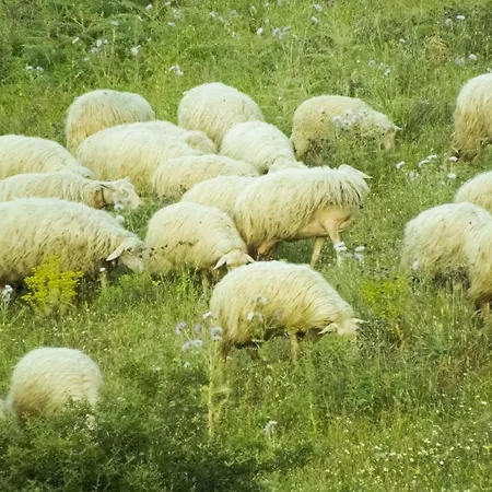 Hétvégi ház Tenuta Su Vrau