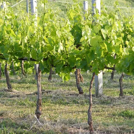 Landhaus Tenuta Su Vrau