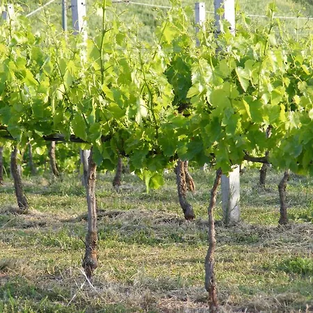 Casa rural Tenuta Su Vrau