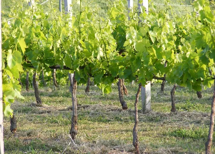 Landhaus Tenuta Su Vrau