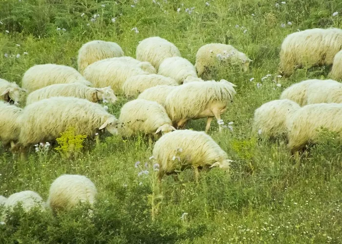 Landhaus Tenuta Su Vrau